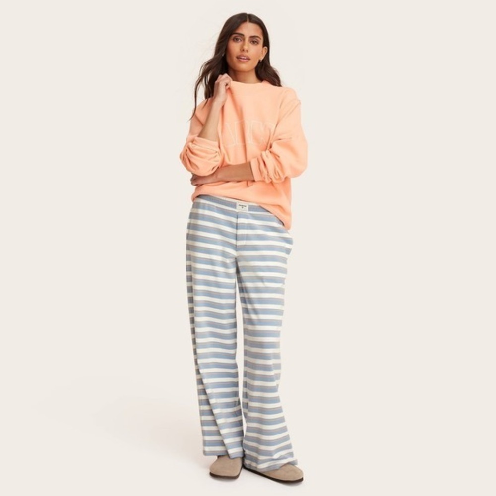 Parke Target Women XXL Extra Large Boxer Knit Sweatpants Blue Striped Sweat Pant
